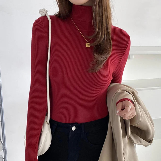 Ribbed Turtleneck Knit Jumper