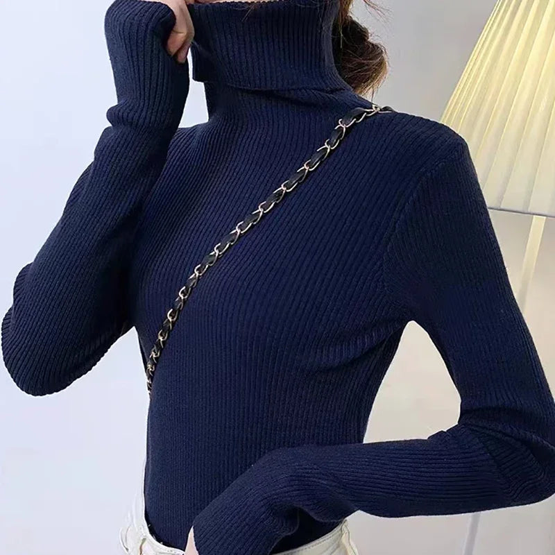 Ribbed Turtleneck Knit Jumper