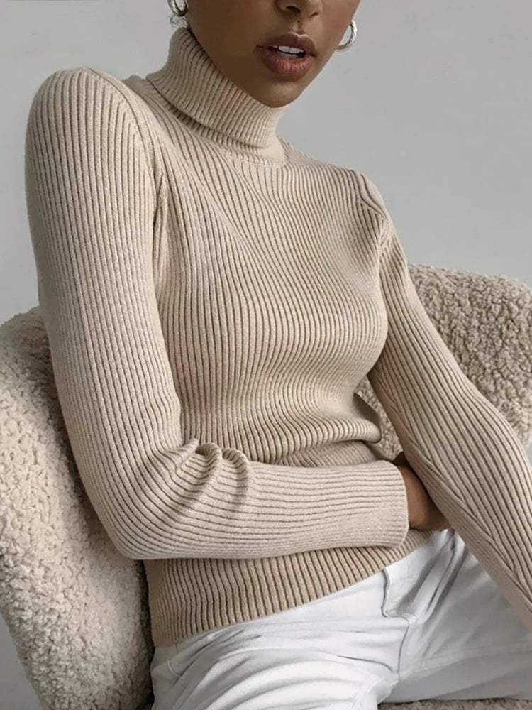 Ribbed Turtleneck Knit Jumper