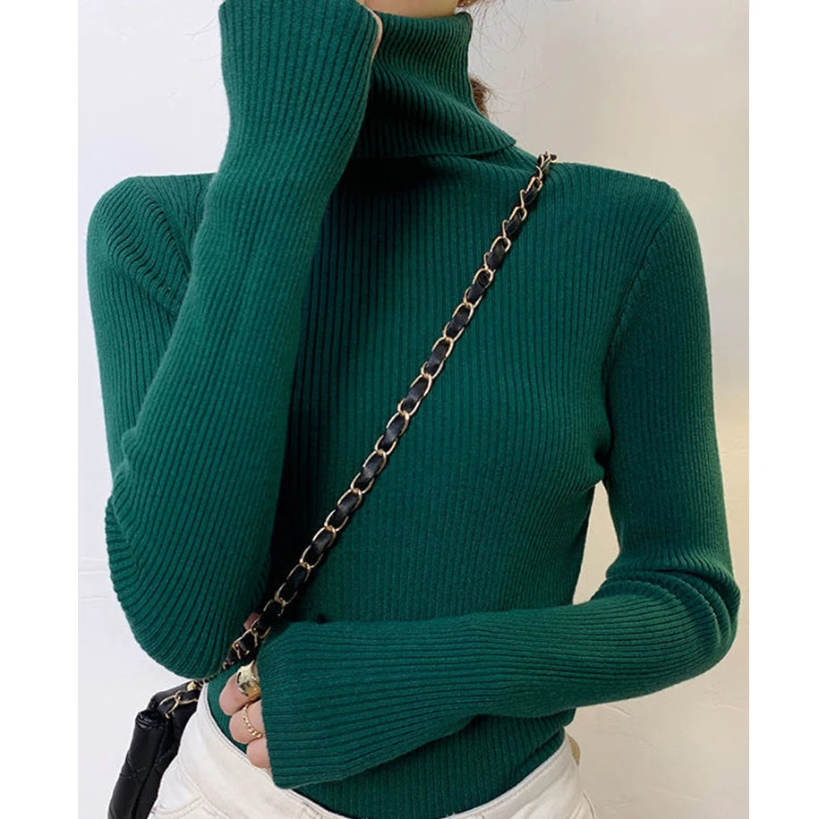 Ribbed Turtleneck Knit Jumper