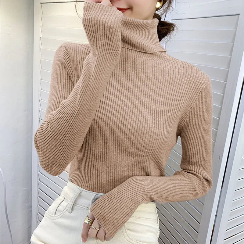Ribbed Turtleneck Knit Jumper