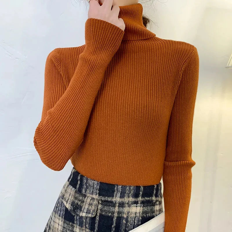 Ribbed Turtleneck Knit Jumper