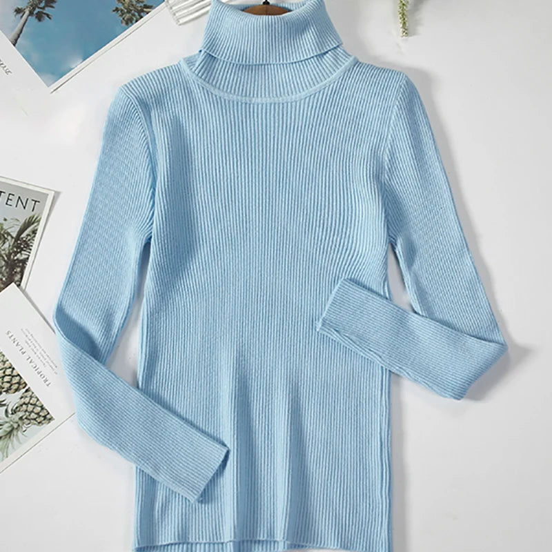 Ribbed Turtleneck Knit Jumper