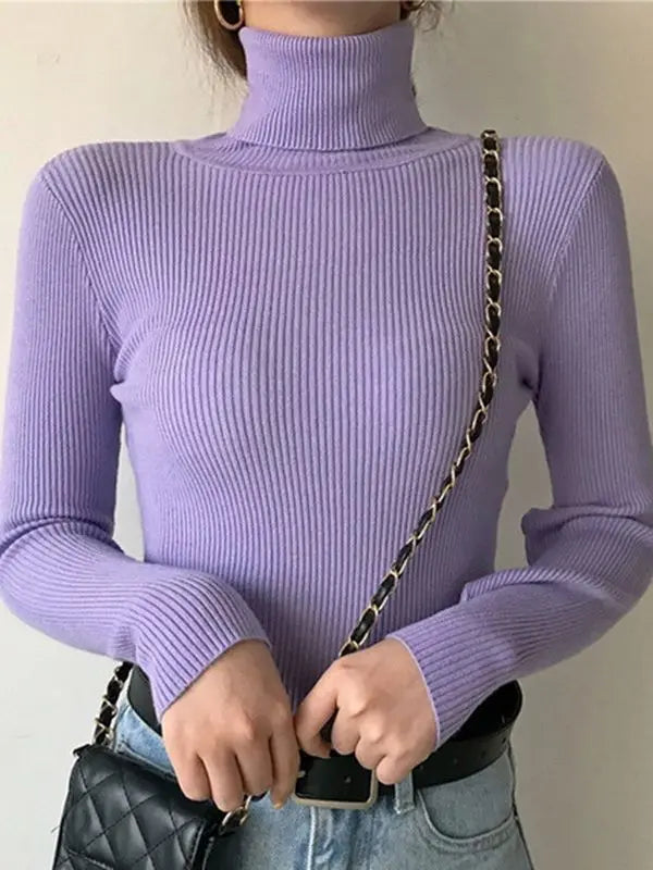 Ribbed Turtleneck Knit Jumper