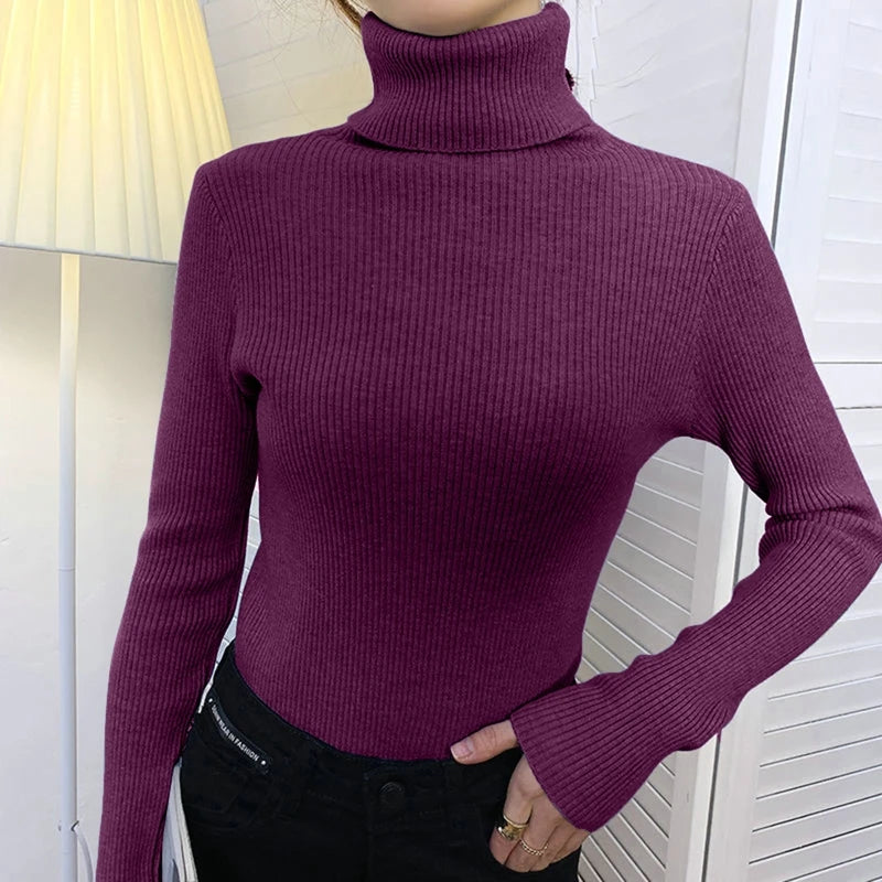 Ribbed Turtleneck Knit Jumper