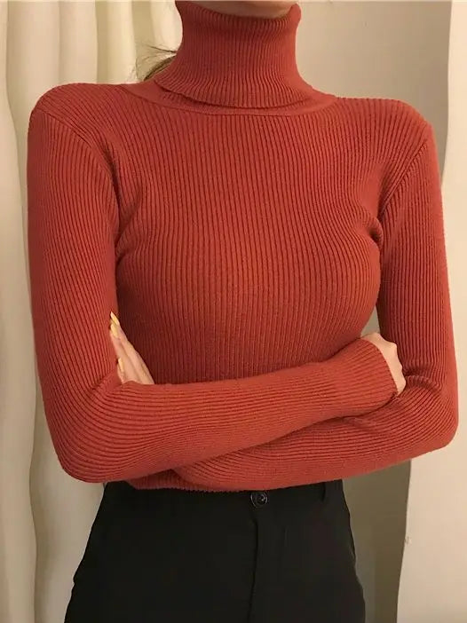 Ribbed Turtleneck Knit Jumper