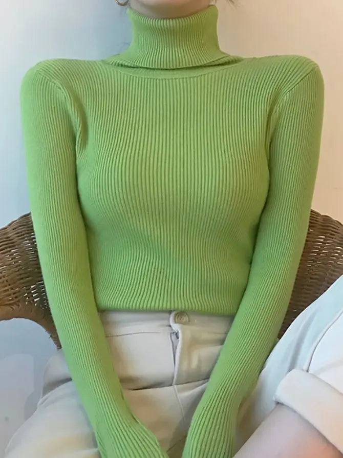 Ribbed Turtleneck Knit Jumper
