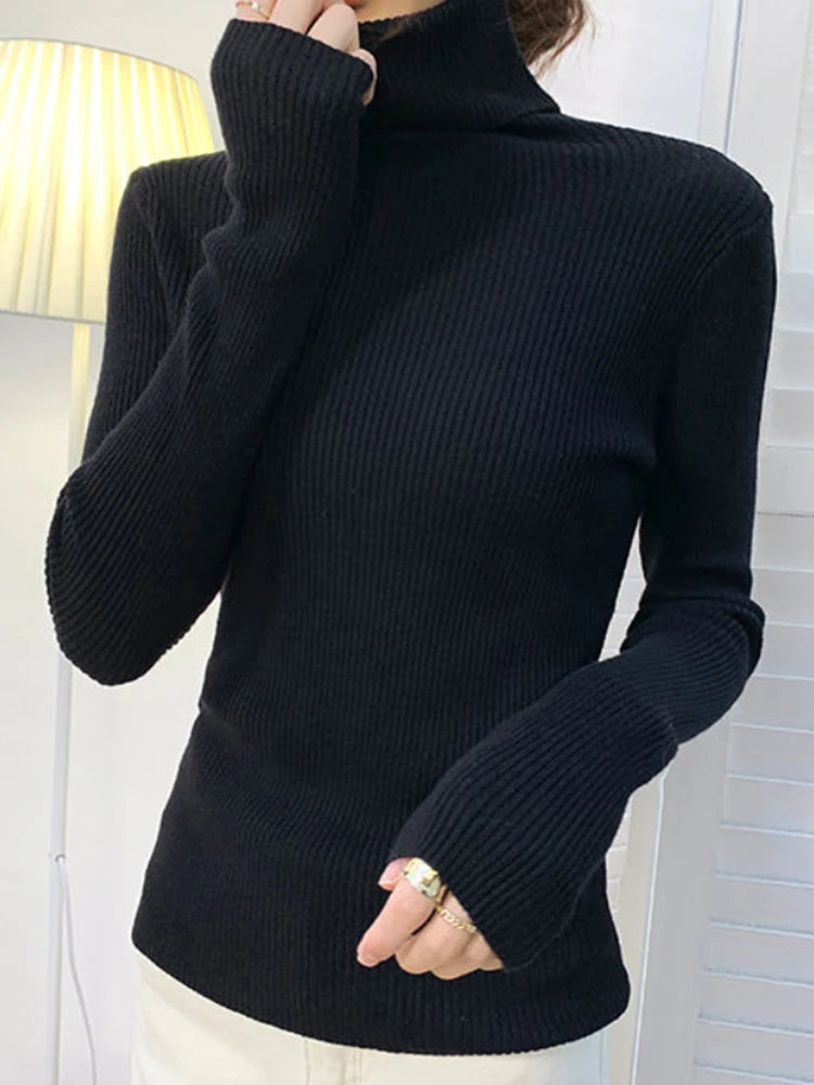 Ribbed Turtleneck Knit Jumper